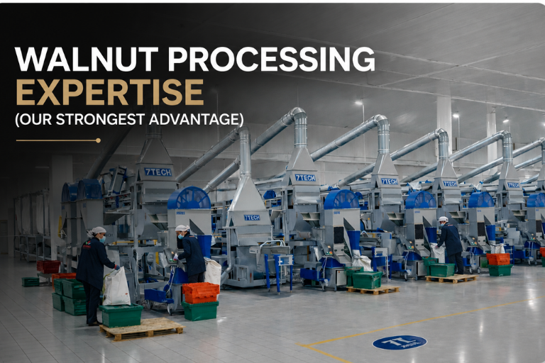 Ceviz İşleme Uzmanlığı (En Güçlü Yönümüz)
